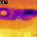 flir